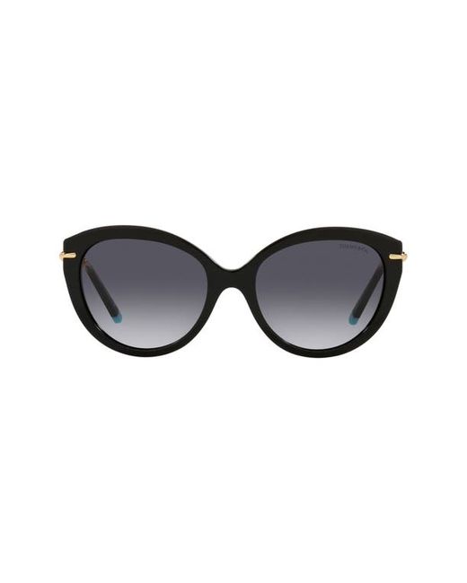 Tiffany & co. . 55mm Cat Eye Sunglasses in Black/Grey Gradient at