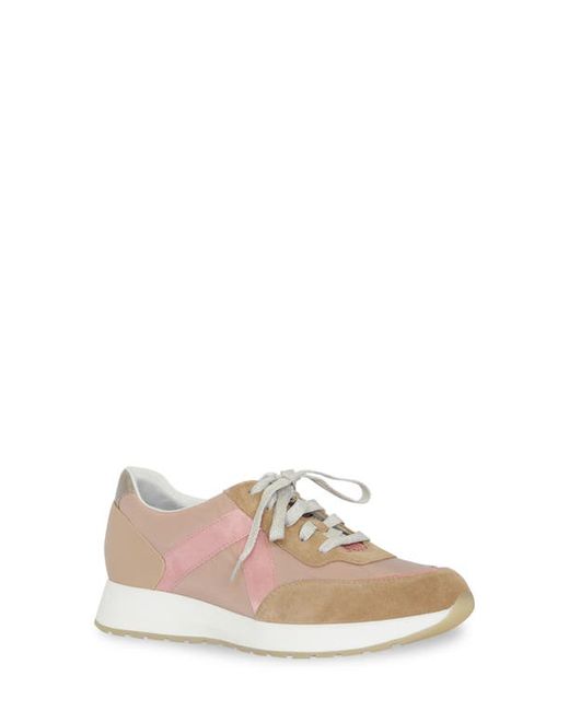 Munro Piper Sneaker in Dusty Rose/Camel Combo at