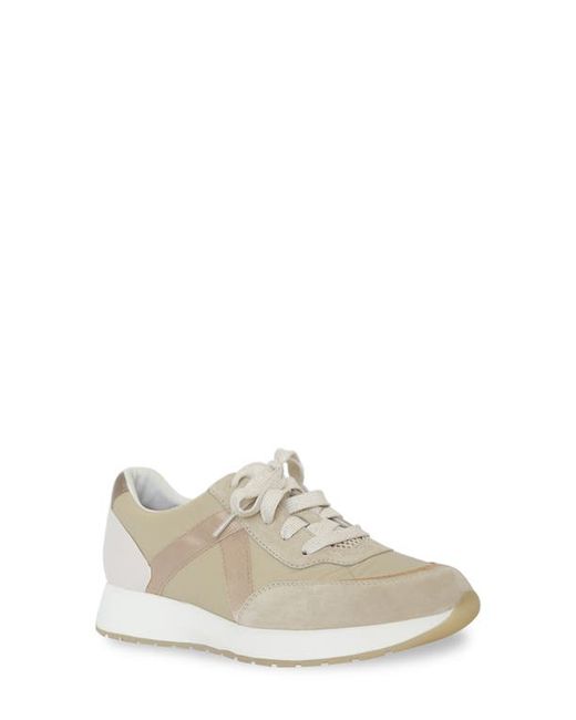 Munro Piper Sneaker in Gold Suede at