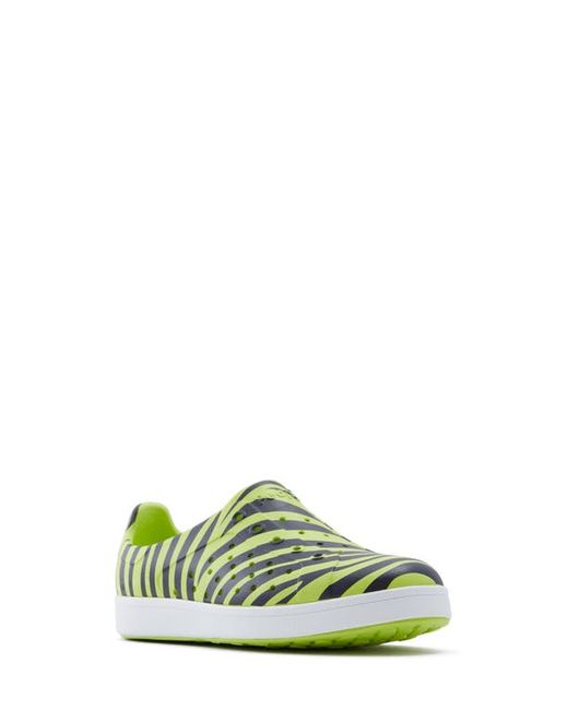People Footwear Ace Slip-On Sneaker in Zebra/Mariner Blue at