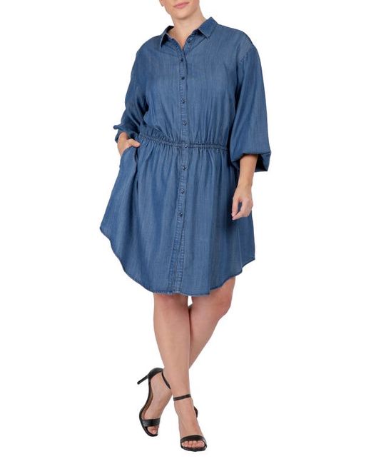 Standards & Practices Long Sleeve Elastic Waist Shirtdress in at