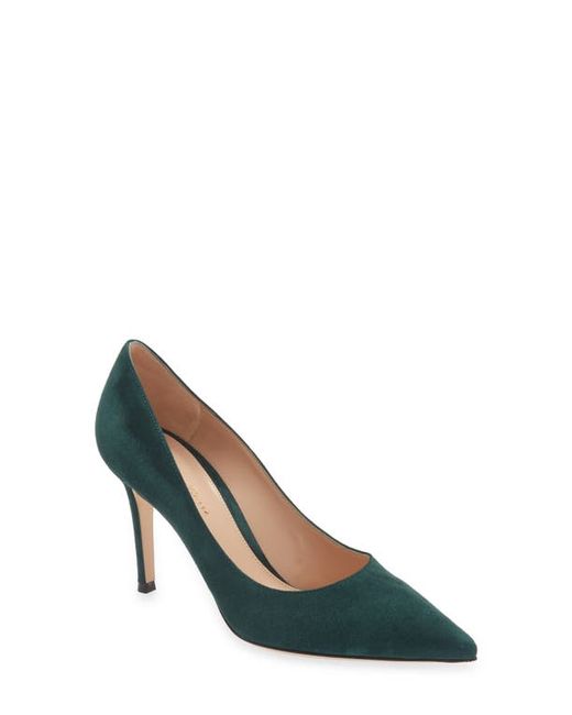 Gianvito Rossi Pointed Toe Pump in at