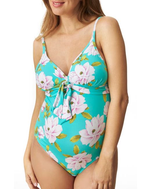 Pez D'Or Mauve One-Piece Maternity Swimsuit in at