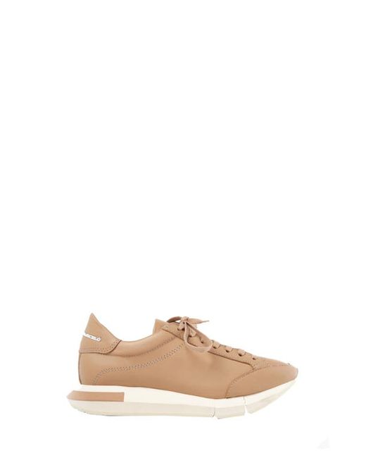 Paloma Barceló Lisieux Sneaker in Pastelbrown/Nocciola at