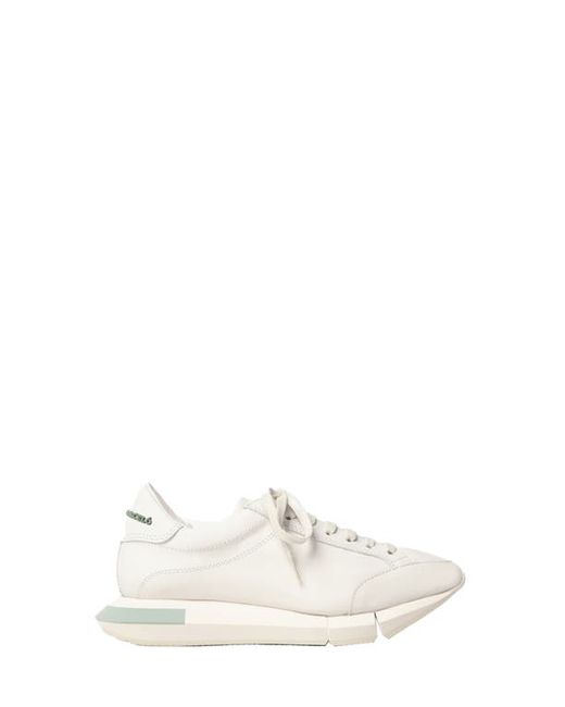 Paloma Barceló Lisieux Sneaker in Gesso-Jadite at