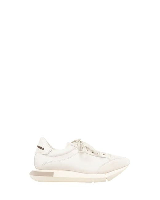 Paloma Barceló Lisieux Sneaker in White/Gesso-Taupe at