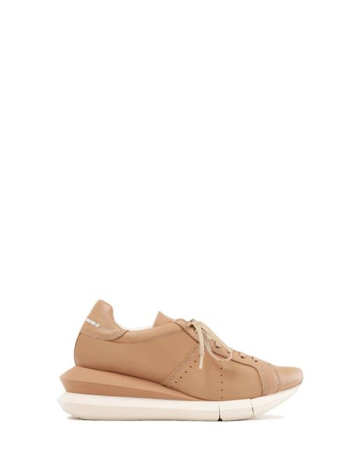 Paloma Barceló Alenzon Wedge Sneaker in Pastelbrown/Nocciola at