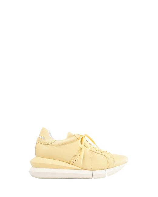 Paloma Barceló Alenzon Wedge Sneaker in at