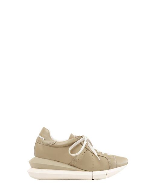 Paloma Barceló Alenzon Wedge Sneaker in Med. Salvia at