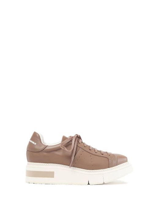 Paloma Barceló Agen Sneaker in Dark Taupe at