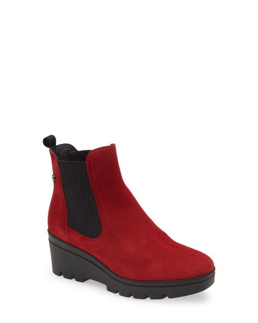 Toni Pons Radom Wedge Chelsea Boot in at
