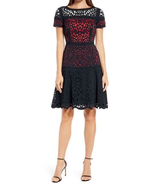 Shani Ombré Lace Fit Flare Dress in Black at