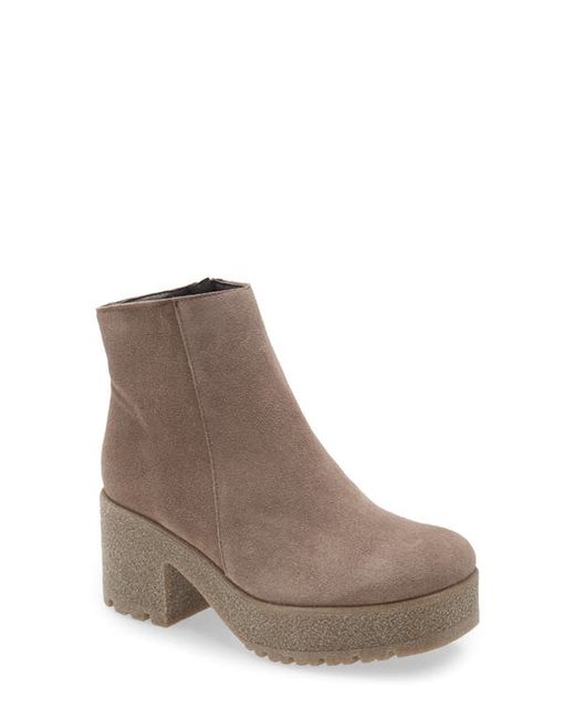 Cordani Finely Platform Bootie in at