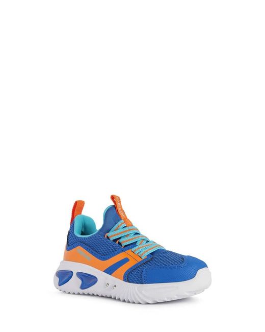 Geox Assister Sneaker in Royal at