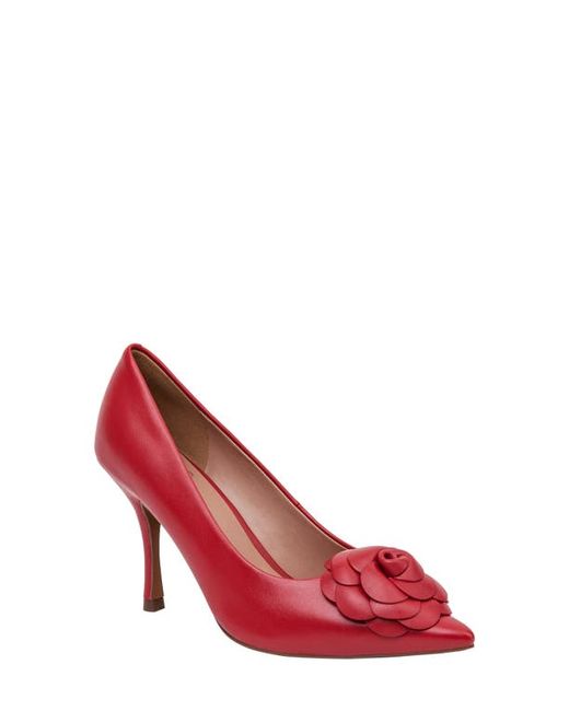Linea Paolo Primrose Pointed Toe Pump in at