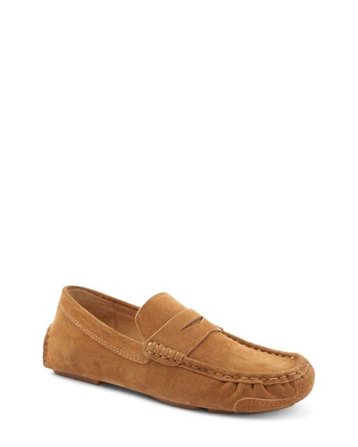 Gentle Souls Signature Mateo Penny Driver Loafer in at