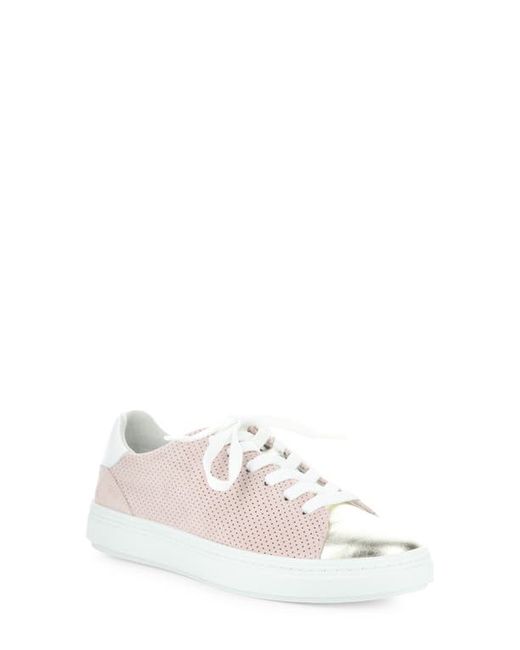 Bos. & Co. Bos. Co. Cherise Sneaker in Champagne at
