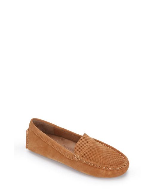 Gentle Souls by Kenneth Cole Gentle Souls Signature Mini Driving Loafer in at