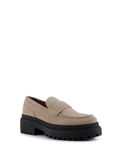 Shoe the Bear Iona Suede Saddle Loafer in at