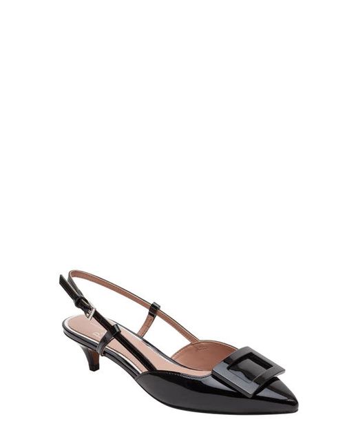 Linea Paolo Cyprus Slingback Pointed Toe Pump in at