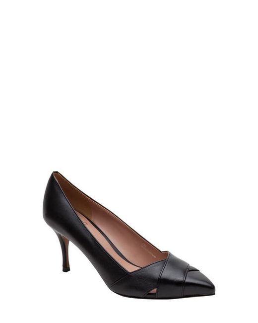 Linea Paolo Palos Pointed Toe Pump in at