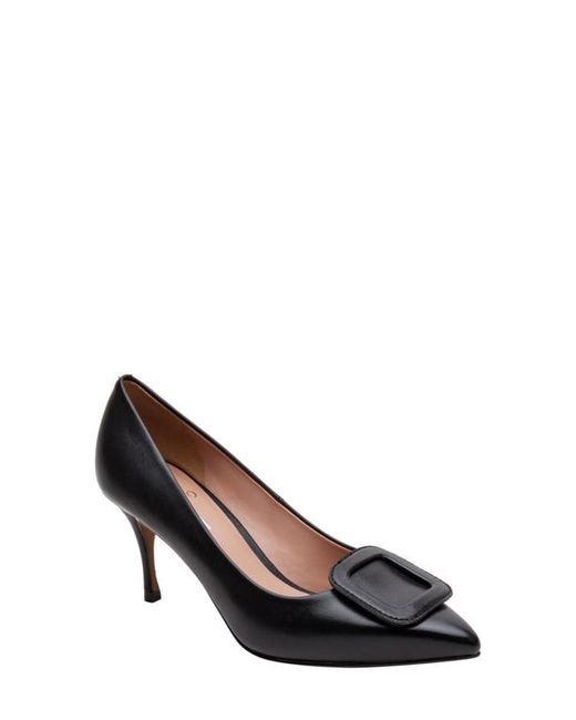Linea Paolo Pieri Pointed Toe Pump in at