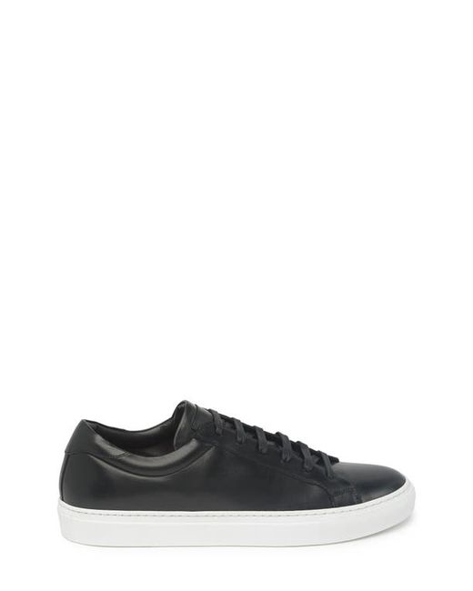 To Boot New York Sierra Sneaker in at
