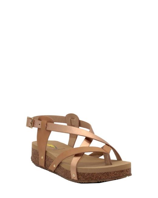 Volatile Engie Strappy Sandal in at