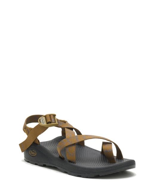 Chaco Z/Cloud 2 Sandal in at