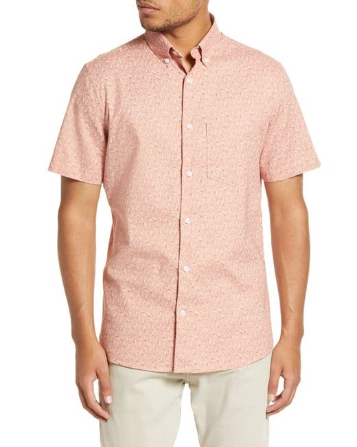 Nordstrom Painting Short Sleeve Button-Up Shirt in at