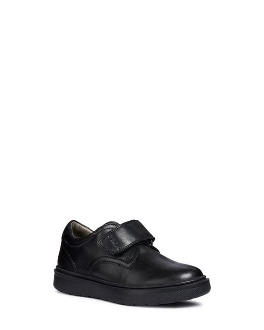 Geox Riddock Loafer in at