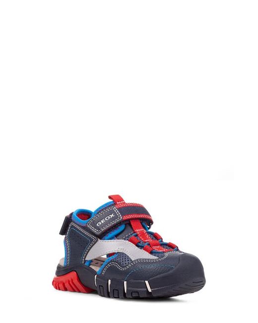 Geox Dynomix Sandal in Navy at
