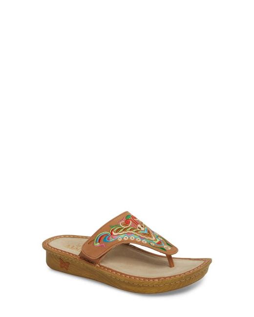Alegria by PG Lite Alegria Vanessa Thong Sandal in at