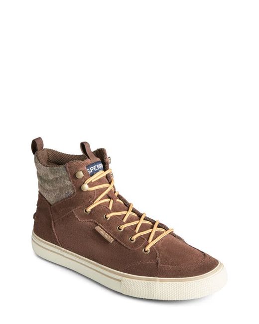 Sperry Top-Sider® SPERRY TOP-SIDER Sperry Striper Storm Waterproof Hiking Boot in Camo at