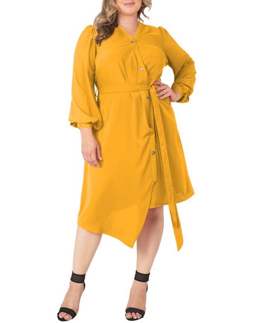 Standards & Practices Asymmetrical Long Sleeve Shirtdress in at