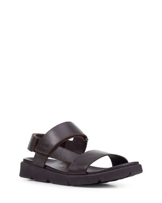 Geox Xand 2s Sandal in at