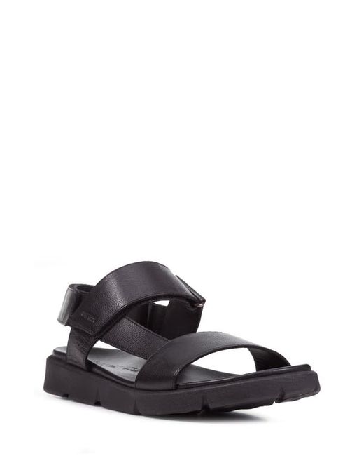 Geox Xand 2s Sandal in at