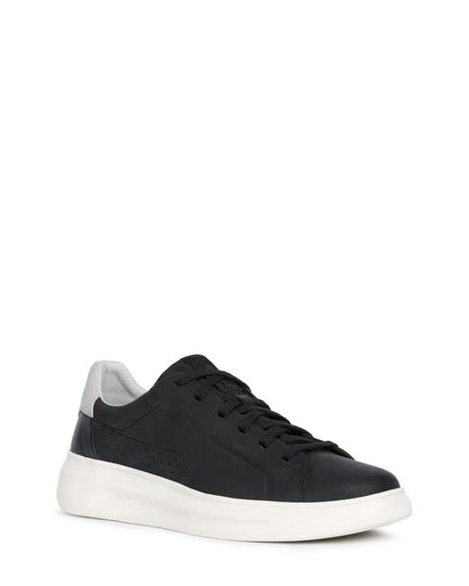 Geox Maestrale Sneaker in Black/Grey at