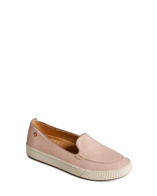 Sperry Gold Cup Sneaker in at