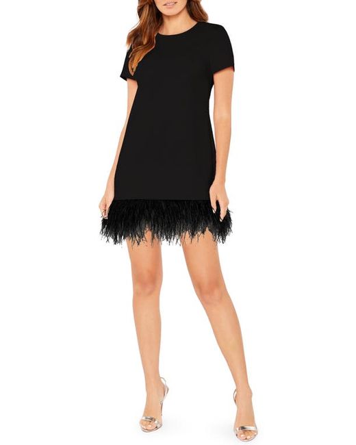 Likely Marulla Feather Trim Dress in at