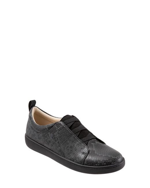 Trotters Avrille Sneaker in at