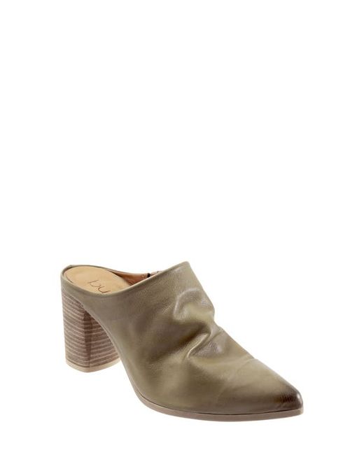 Bueno Jealous Mule in at