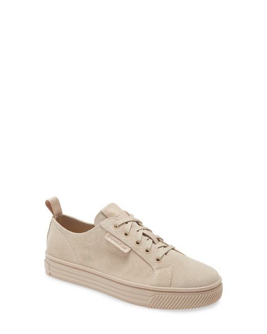 Gianvito Rossi Low Top Sneaker in at