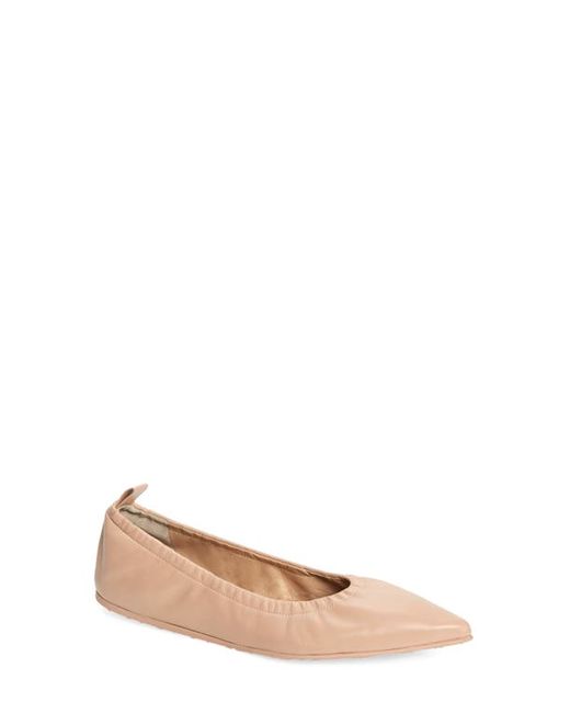 Gianvito Rossi Pointed Toe Ballet Flat in at