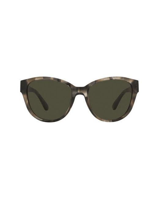 Tory Burch 54mm Cat Eye Sunglasses in Striped Olive Dark at