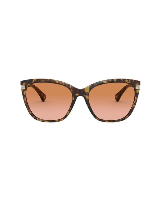 Ralph By Ralph Lauren Eyewear Ralph Lauren 56mm Gradient Cat Eye Sunglasses in at