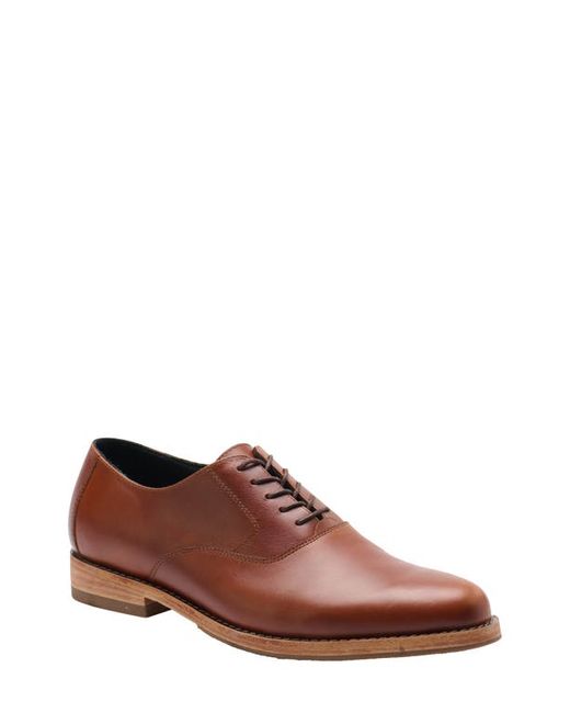 Nisolo Everyday Oxford in at