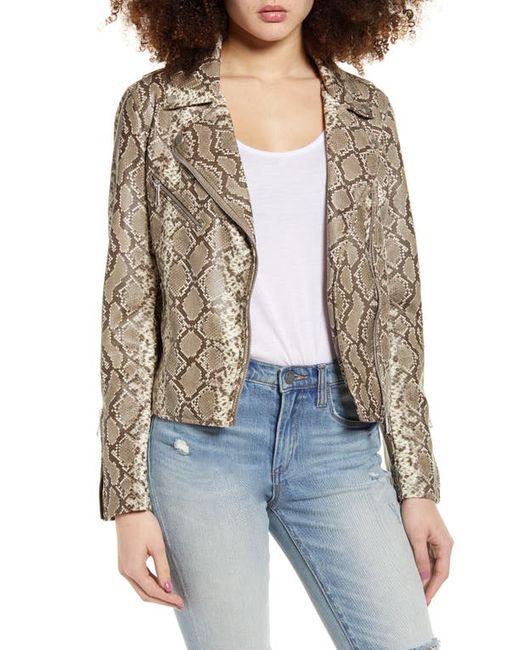 Vigoss Snake Print Faux Leather Moto Jacket in at
