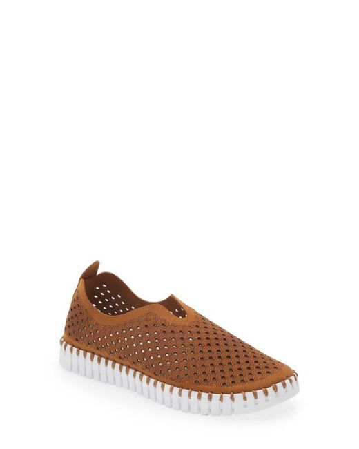 Ilse Jacobsen Tulip 139 Perforated Slip-On Sneaker in at