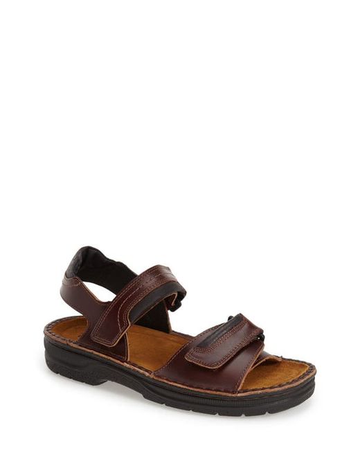 Naot Lappland Sandal in at